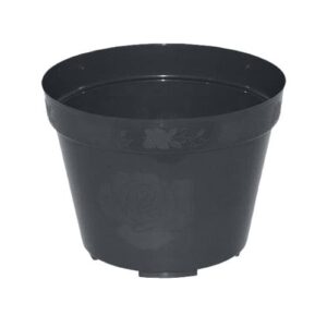Flower Pot 50